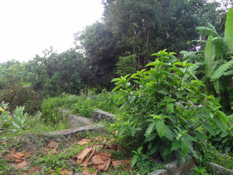 flcanggu64